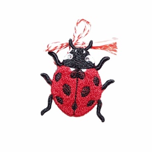 broderierocrist
