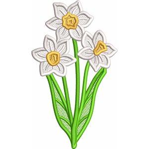 broderierocrist