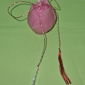 CERAPETALS