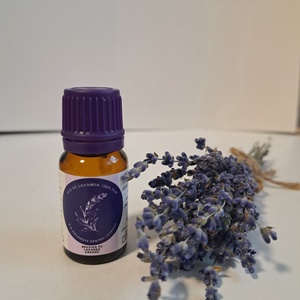 GradinacuLavanda