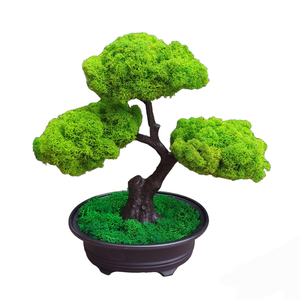 GreenLifeMossArt