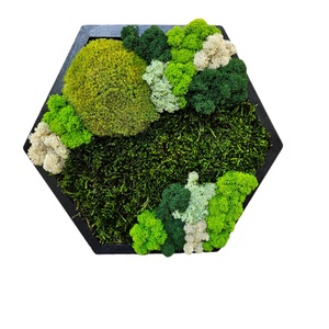 GreenLifeMossArt