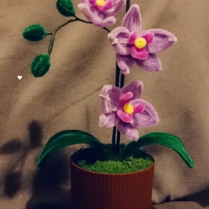 MeryPetals