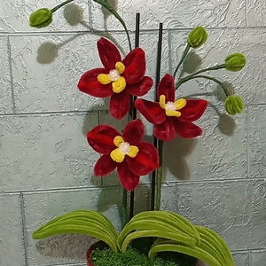 MeryPetals