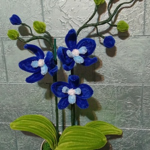 MeryPetals